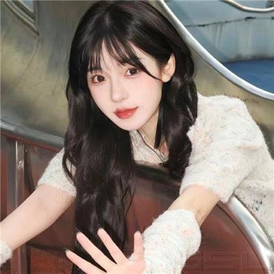与鲸共舞第一季