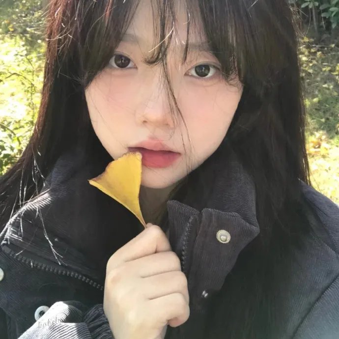 飞月情海